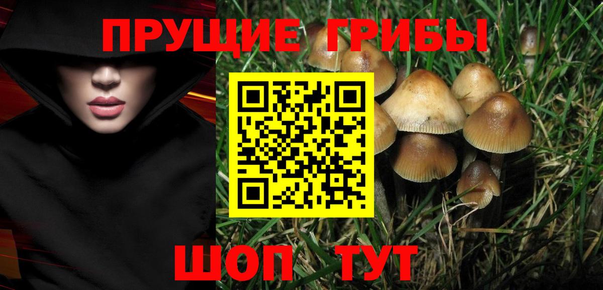 Галлюциногенные грибы мицелий Бор