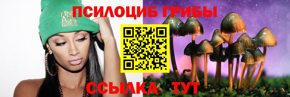 Бор  Псилоцибиновые грибы мухоморы  Вход с VPN 