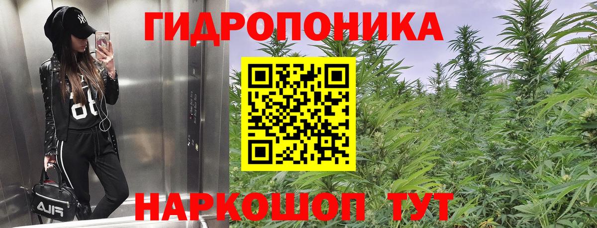 Канабис Bruce Banner Бор